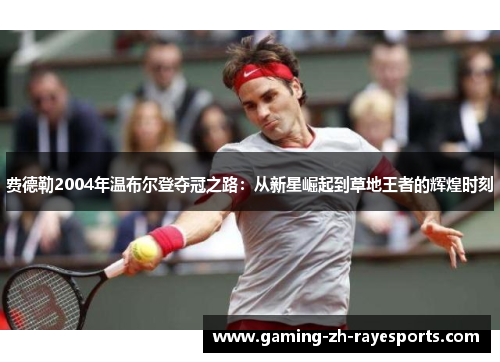 费德勒2004年温布尔登夺冠之路：从新星崛起到草地王者的辉煌时刻
