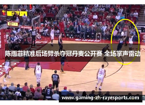 陈雨菲精准后场劈杀夺冠丹麦公开赛 全场掌声雷动