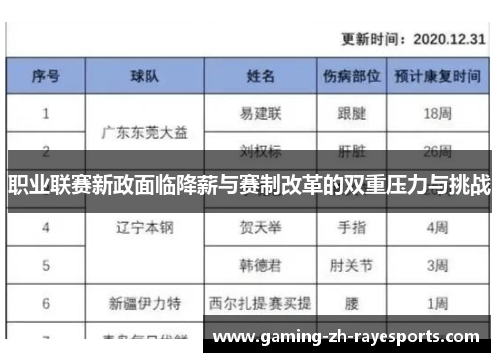 职业联赛新政面临降薪与赛制改革的双重压力与挑战