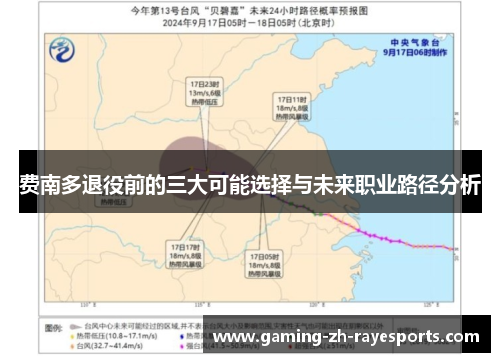 费南多退役前的三大可能选择与未来职业路径分析