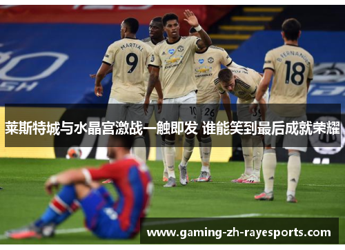 莱斯特城与水晶宫激战一触即发 谁能笑到最后成就荣耀 莱斯特城与水晶宫激战一触即发 谁能笑到最后成就荣耀