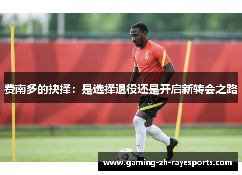 费南多的抉择:是选择退役还是开启新转会之路 费南多的抉择:是选择退役还是开启新转会之路