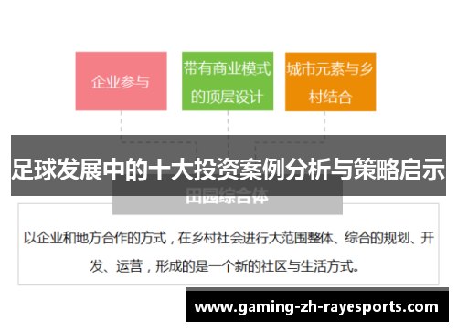 足球发展中的十大投资案例分析与策略启示