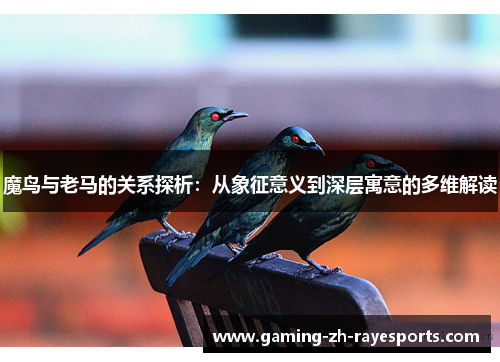 魔鸟与老马的关系探析:从象征意义到深层寓意的多维解读 魔鸟与老马的关系探析:从象征意义到深层寓意的多维解读